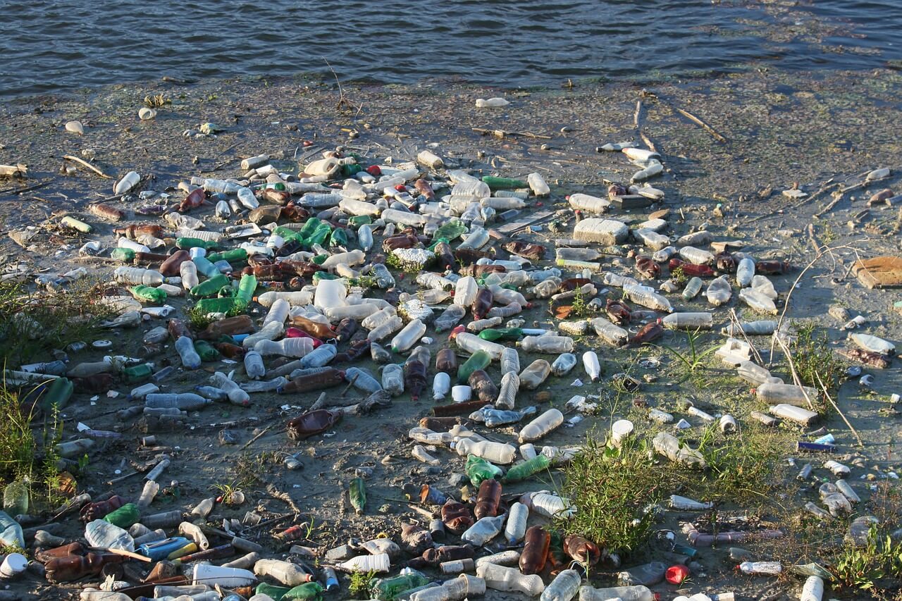 Plastic pollution on a beach